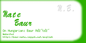 mate baur business card